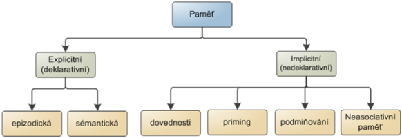 Obr. 1, Navrhovaná klasifikace uchovávání vzpomínek v dlouhodobé paměti (Squire, 1990 in Atkinson, 2003) Rozdělení paměti